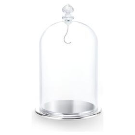 Bell Jar Display Large