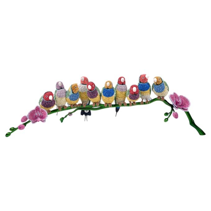 Crystal Myriad Gouldian Finches Crystal Myriad Gouldian Finches