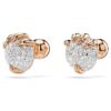 Dragon & Phoenix Stud Earrings Dragon’s Claw, White, Rose Gold-Tone Plated Dragon & Phoenix Stud Earrings Dragon’s Claw, White, Rose Gold-Tone Plated