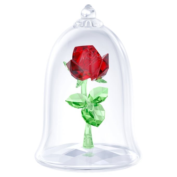 Enchanted Rose Enchanted Rose
