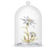 Florere 130Th Anniversary Bell Jar Florere 130Th Anniversary Bell Jar