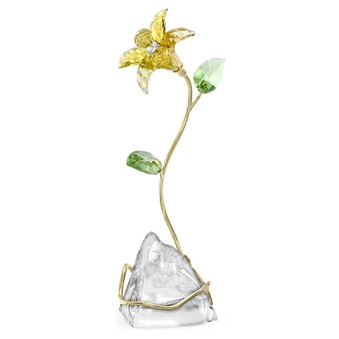 Florere Lily Florere Lily