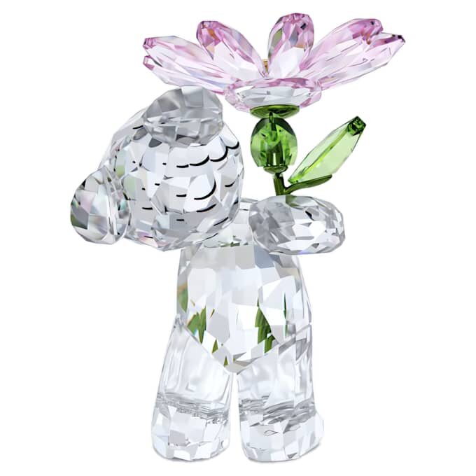 Kris Bear a Daisy for You Kris Bear a Daisy for You