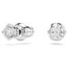Stilla Attract Stud Earrings Round Cut, White, Rhodium Plated Stilla Attract Stud Earrings Round Cut, White, Rhodium Plated