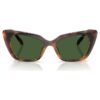 Sunglasses Cat-Eye Shape, Sk6047, Light Brown Sunglasses Cat-Eye Shape, Sk6047, Light Brown