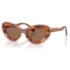 Sunglasses Cat-Eye Shape, Sk6061U, Brown Sunglasses Cat-Eye Shape, Sk6061U, Brown
