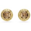 Una Angelic Stud Earrings Round Cut, Caramel, Gold-Tone Plated