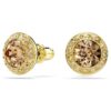 Una Angelic Stud Earrings Round Cut, Caramel, Gold-Tone Plated