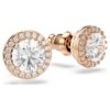 Una Angelic Stud Earrings Round Cut, Pavé, White, Rose Gold-Tone Plated Una Angelic Stud Earrings Round Cut, Pavé, White, Rose Gold-Tone Plated